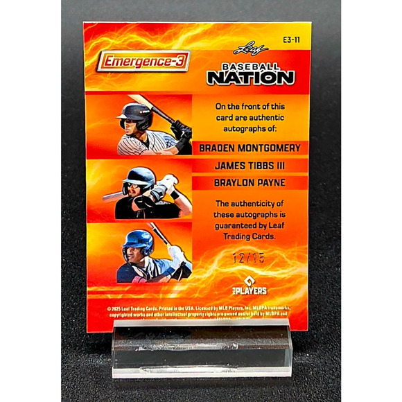 2025 Montogomery Payne and Tibbs Auto's /15 Emergence 3 Top Prospects - Picture 3 of 3